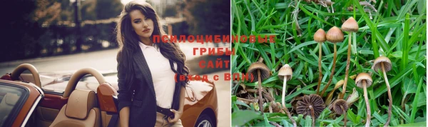 стафф Абдулино